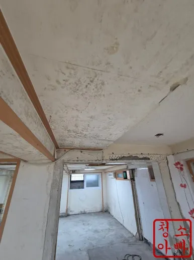 회기동 천장 곰팡이 제거 장비
