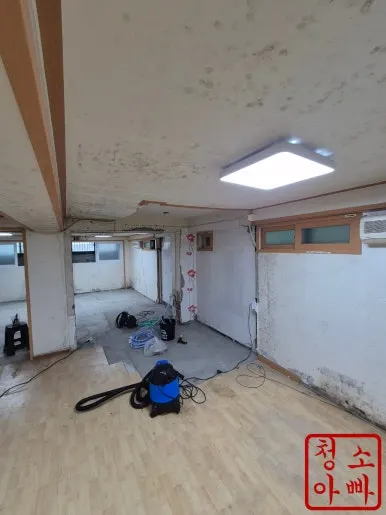 회기동 반지하 벽면 곰팡이 상태