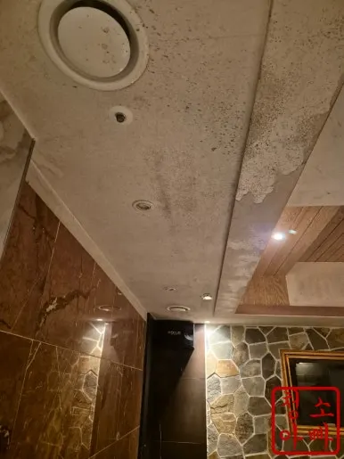 곰팡이 천장 청소 전