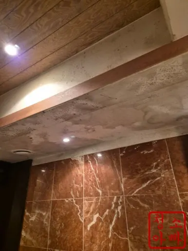 곰팡이 천장 청소 전