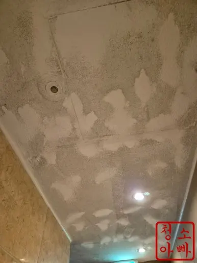 논현동 노래방 복도 천장 곰팡이