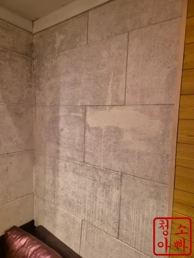 논현동 노래방 벽면 곰팡이 전