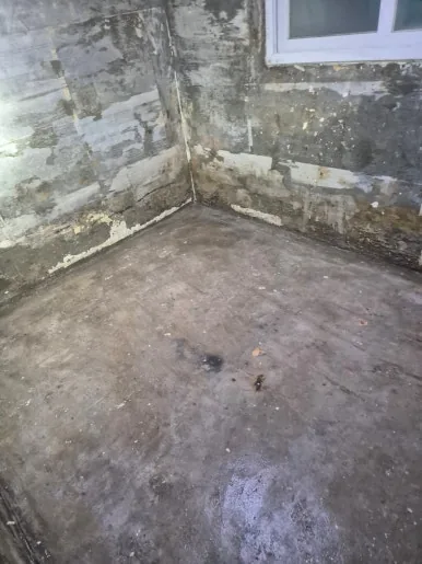 곰팡이 벽면 청소 전