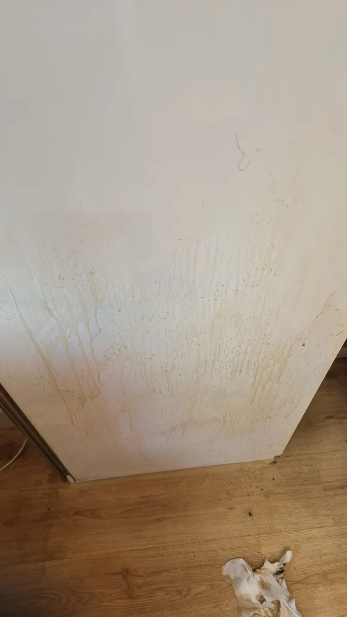 옷장 하부 니코틴 확대