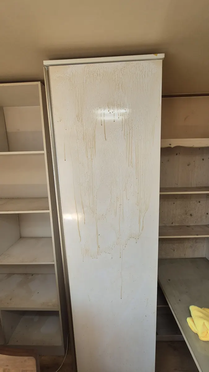 니코틴 오염 세정 전