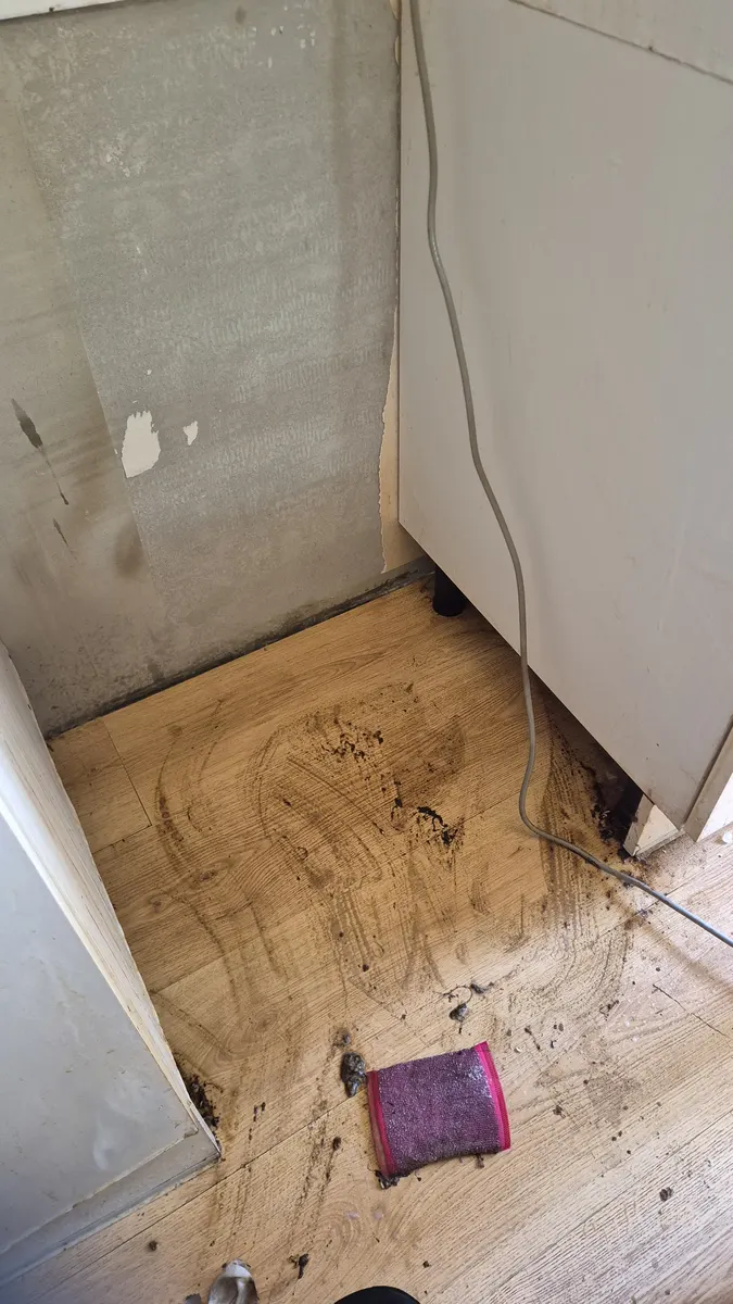 냉장고 뒤 바닥 오염 작업 전