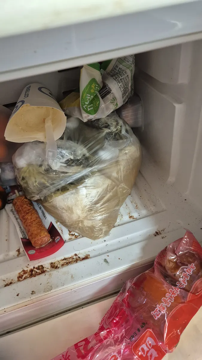 냉장고 하부 음식물 확대