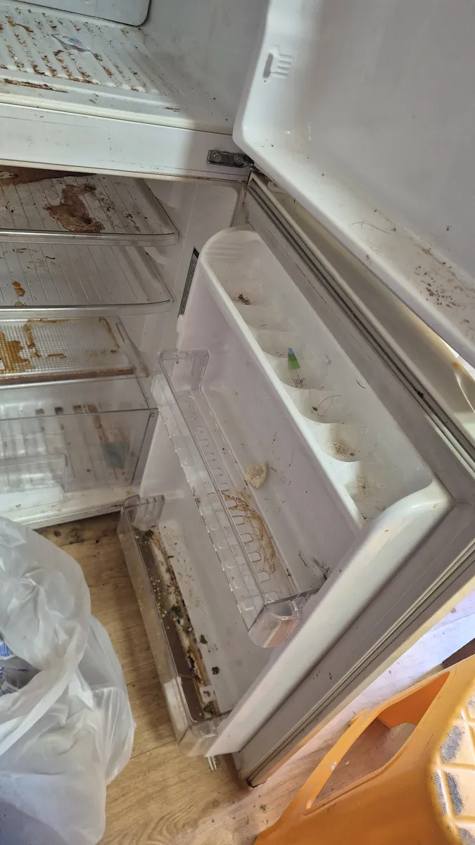 냉장고 도어 선반 오염