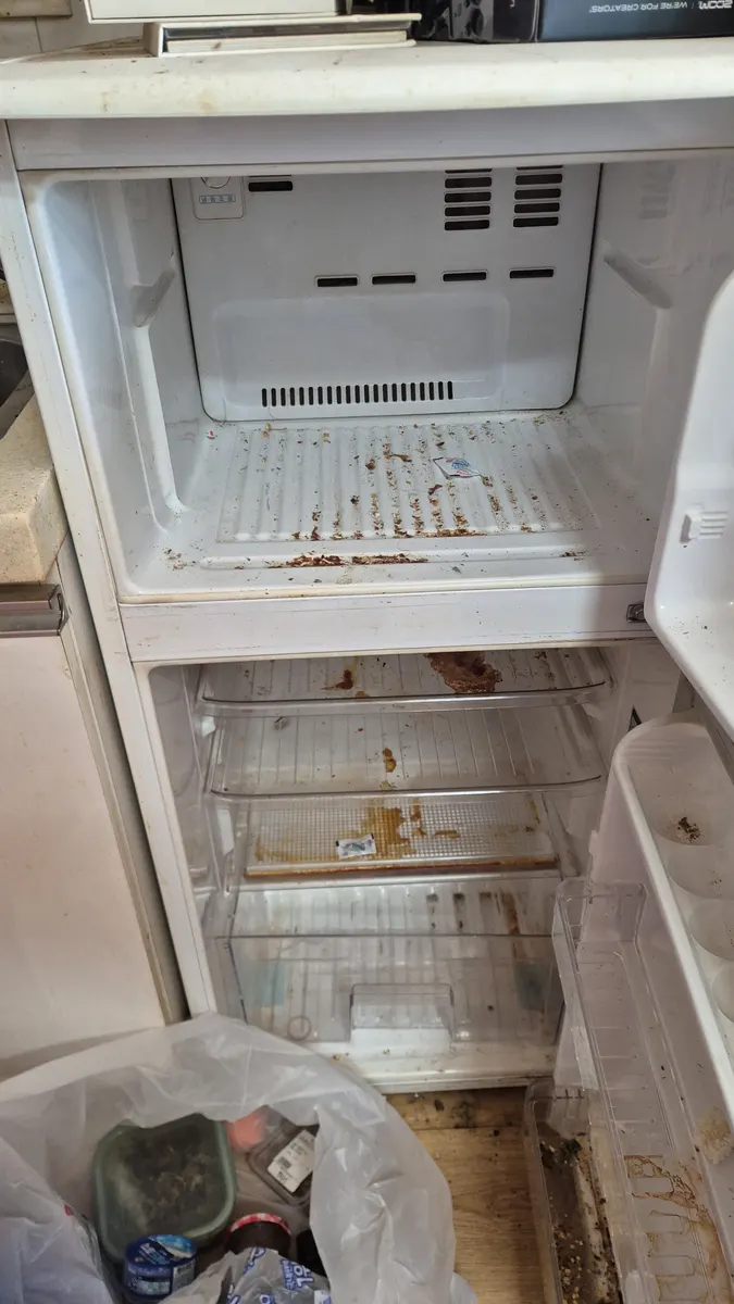 냉장고 음식물 비운 후 오염 상태