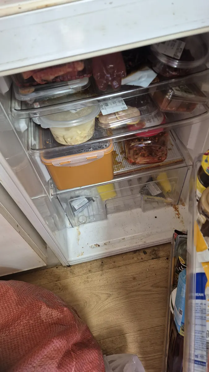 방치 냉장고 내부 음식물 가득