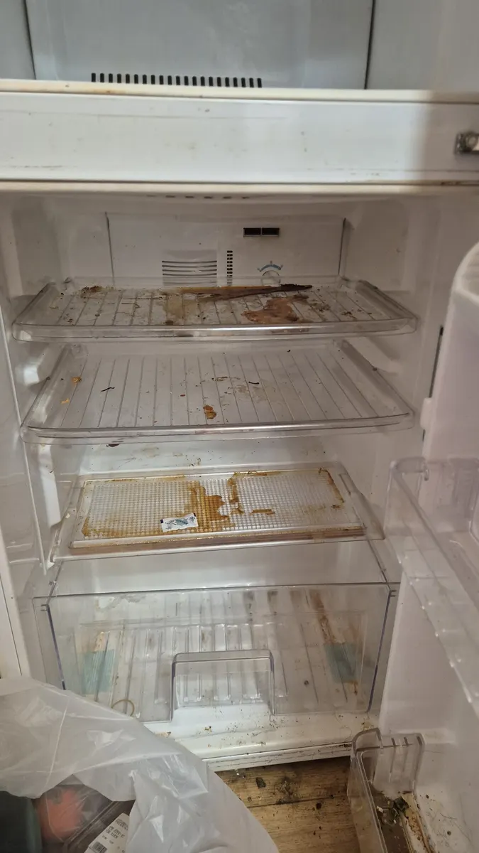 냉장고 상단 선반 오염