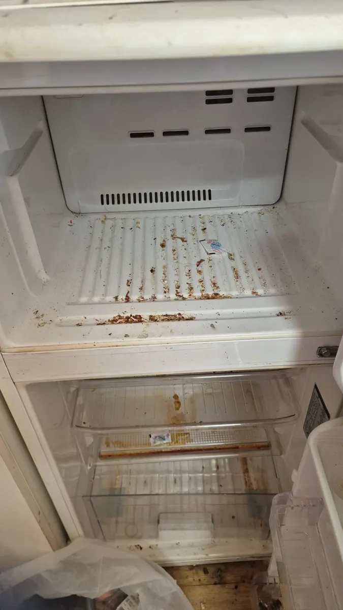 냉장고 상단 냉동실 오염