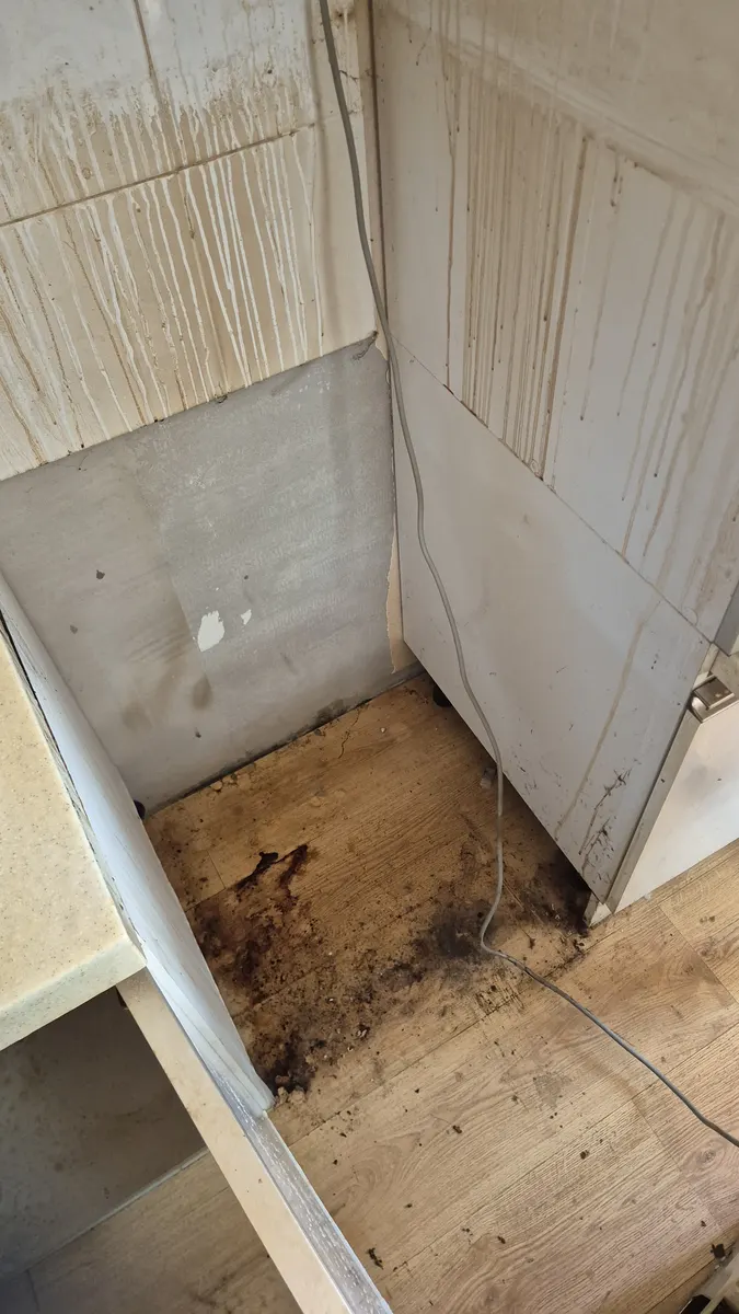 냉장고 뒤 바닥 오염