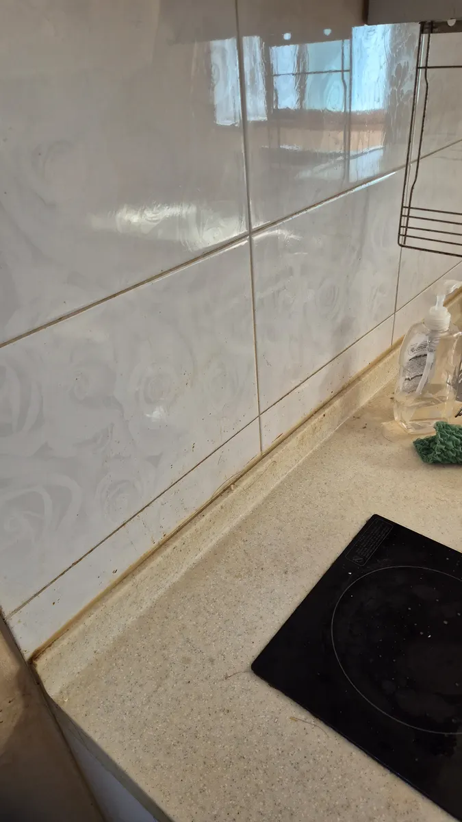 타일 세정 완료