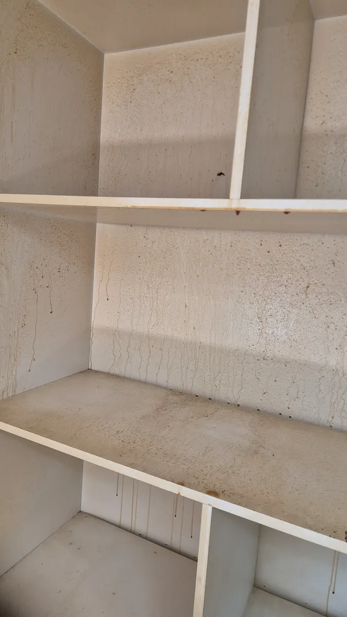 선반장 니코틴 세정