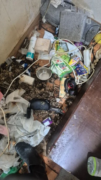 반려동물 소변 바닥 침투 요산 결정 상태