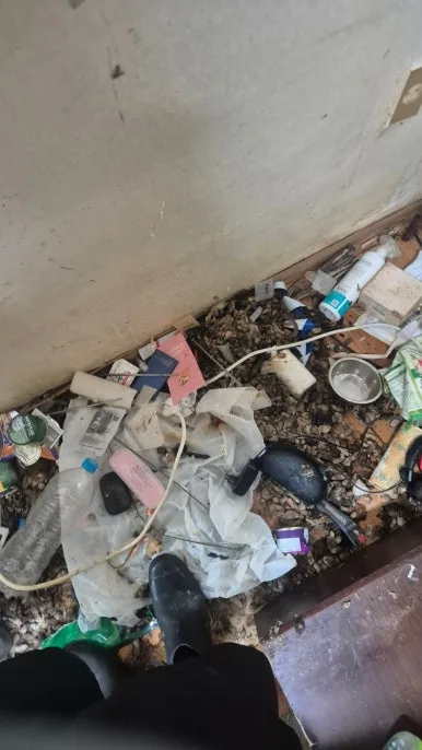 개똥 고양이똥 대량 축적 배설물 더미