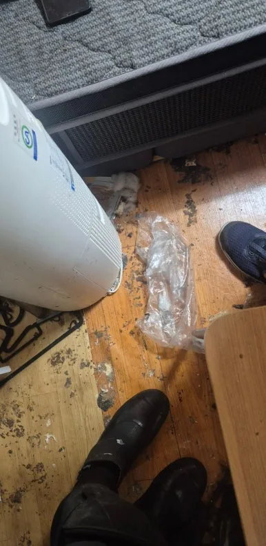 반려동물 소변 마루 바닥 침투 손상