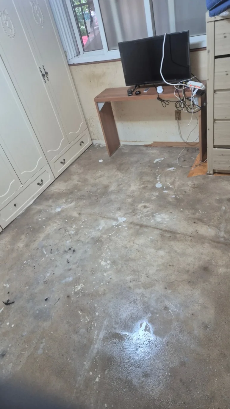 반려동물 오염 청소 후 방 전체 복원