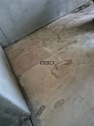 비둘기 배설물  청소 후