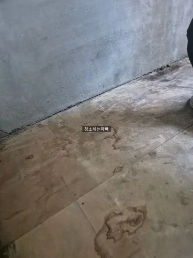 비둘기 배설물  청소 후