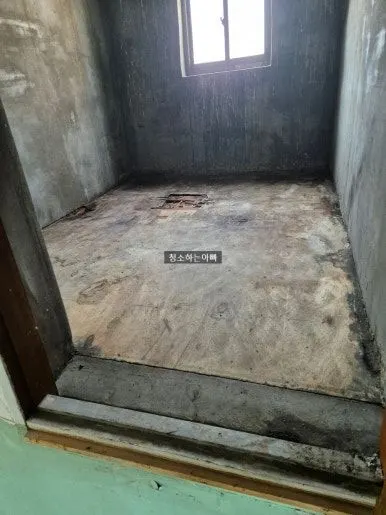 비둘기 배설물  청소 후