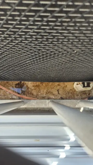 안산 비둘기 청소 완료