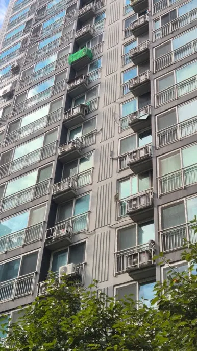 비둘기 배설물 건물