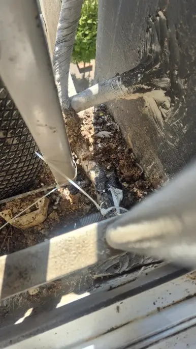 비둘기 배설물 배관