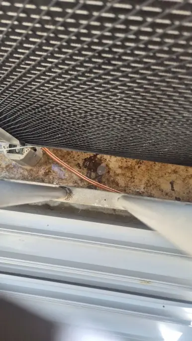 비둘기 배설물 배관