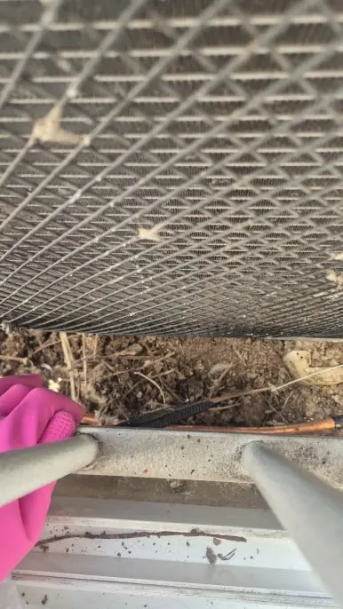 안산 비둘기똥 제거 작업