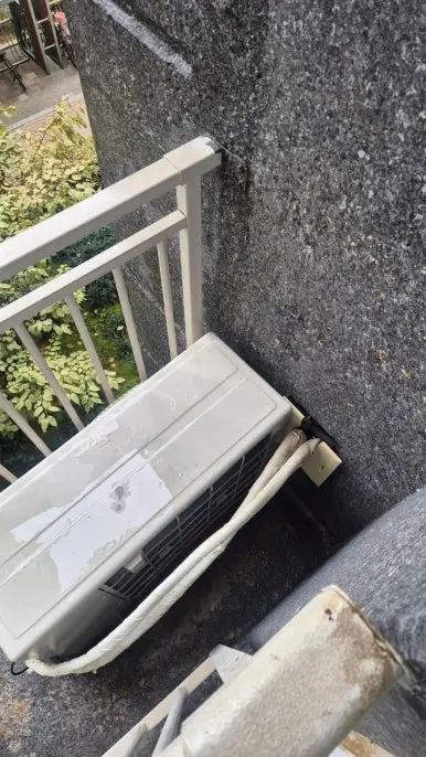 비둘기 배설물 벽면