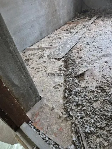 비둘기 배설물  청소 전