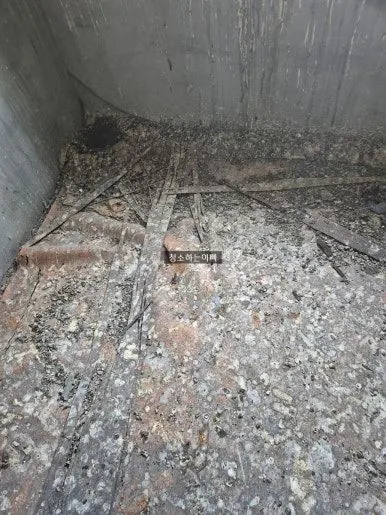 비둘기 배설물  청소 전