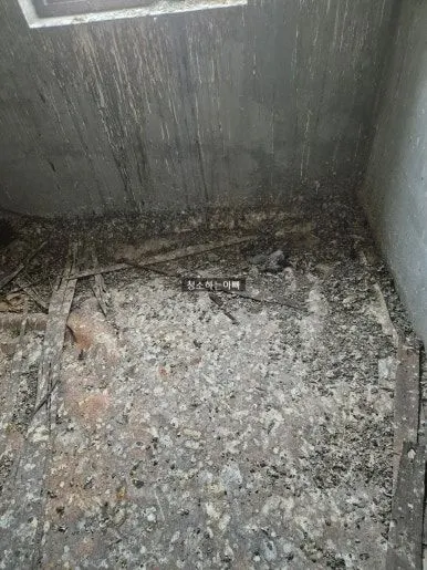 비둘기 배설물  청소 전