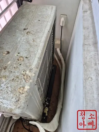 청라 실외기 상단 비둘기똥