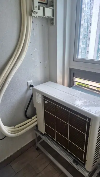 강동구 비둘기똥 세정 완료