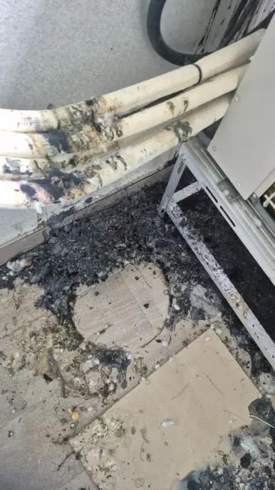 비둘기 배설물 배관