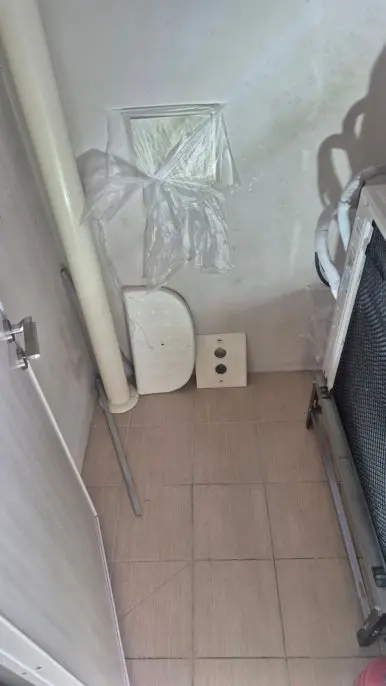 비둘기 배설물  청소 후