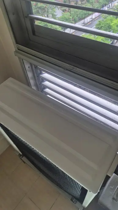 비둘기 배설물  청소 후