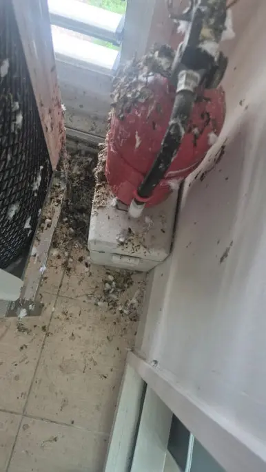 비둘기 배설물 실외기