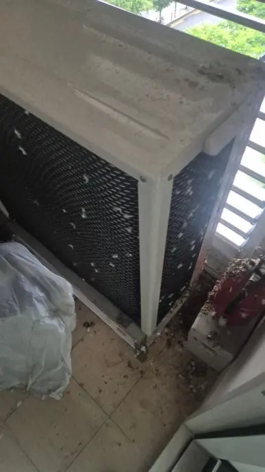 금호동 실외기 비둘기똥