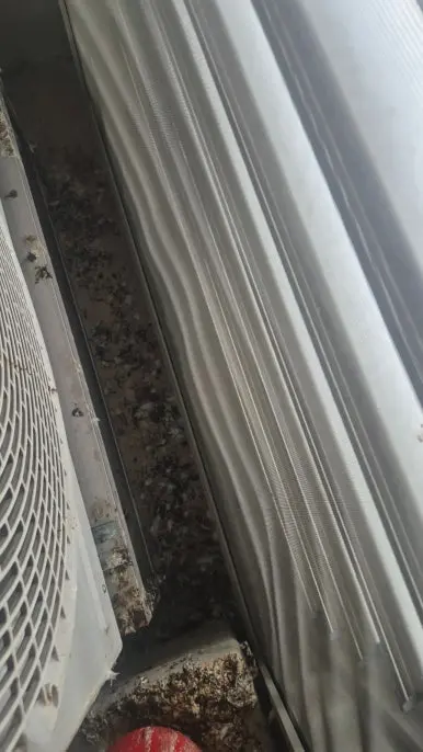 비둘기 배설물 실외기