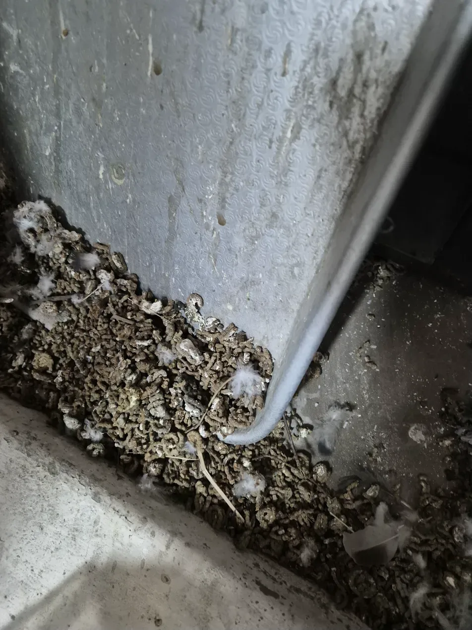 김포 보일러 배관 청소 완료