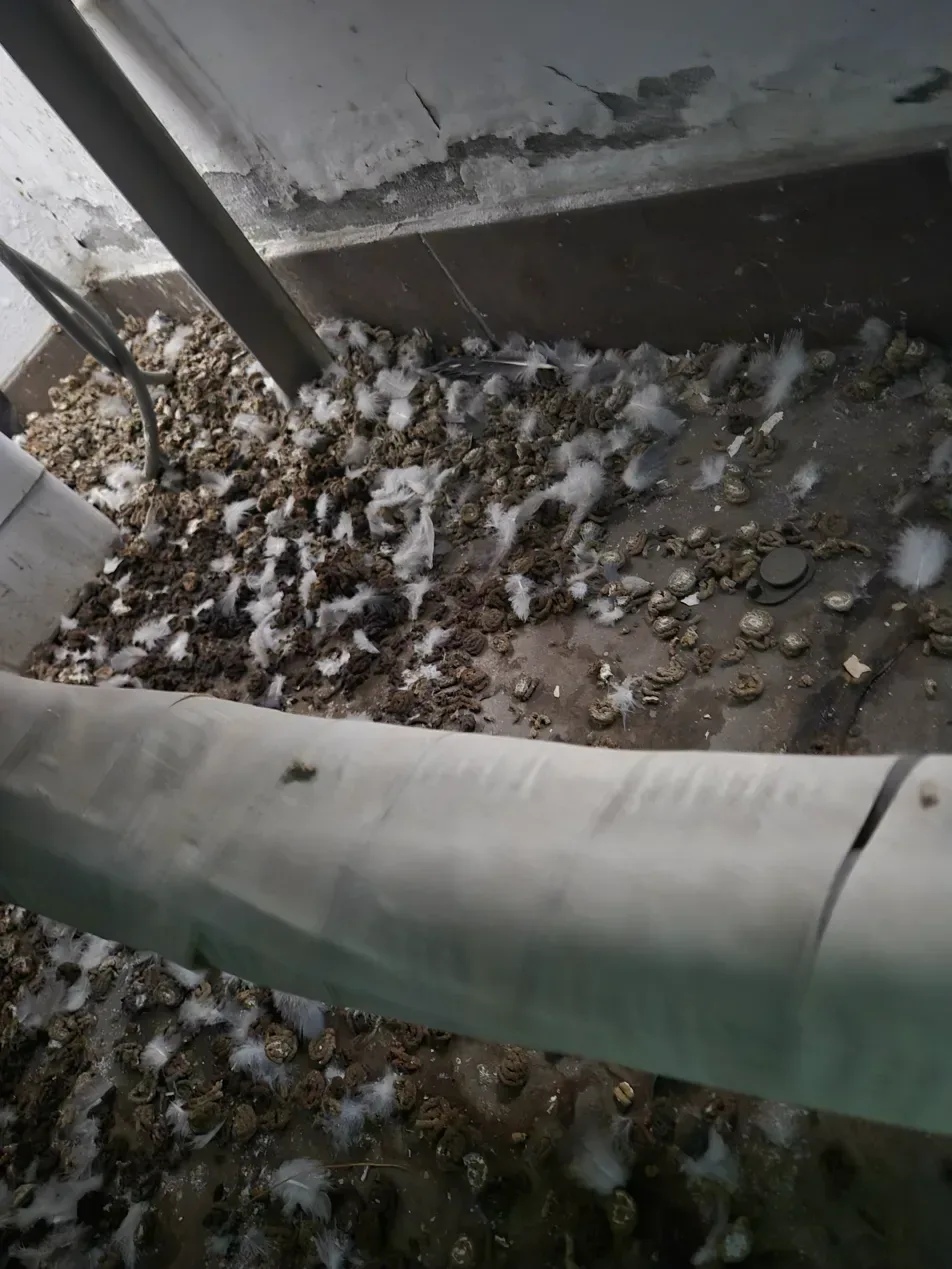 김포 바닥 타일 세정 완료