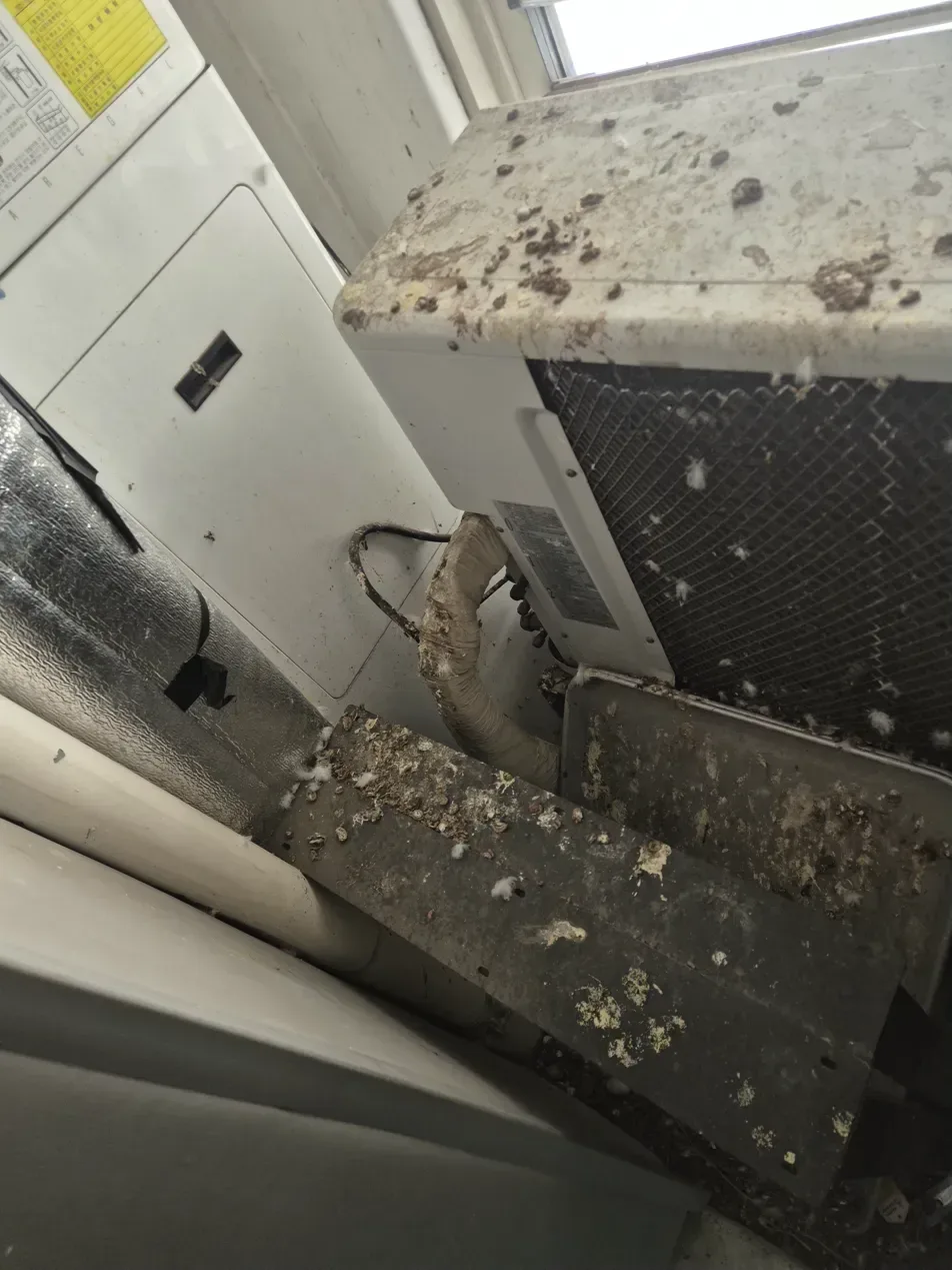 김포 실외기 하부 거치대 비둘기똥