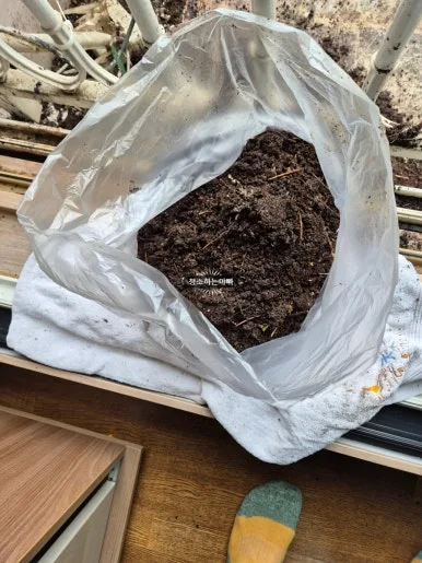 광명시 비둘기 청소 회수물 분리 포장 — 광진 본점 직영 작업 사례