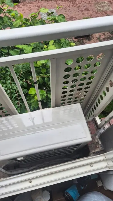 마곡 비둘기 청소 완료