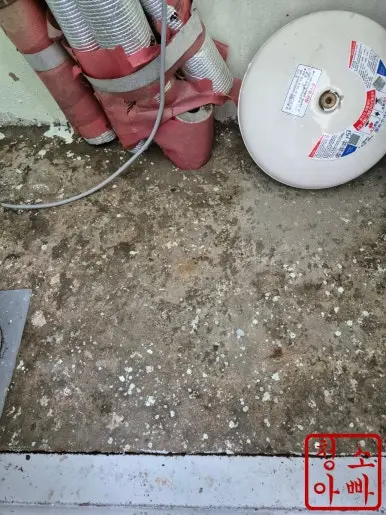 비둘기 배설물  청소 후