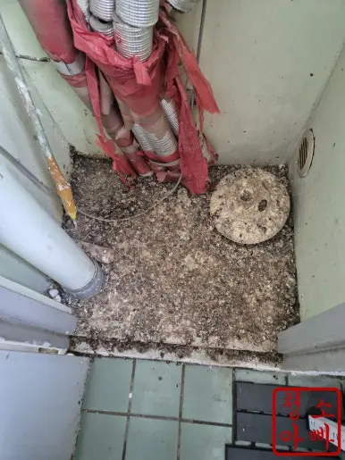 미추홀구 보일러 주변 비둘기똥